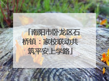 南阳市卧龙区石桥镇：家校联动共筑平安上学路